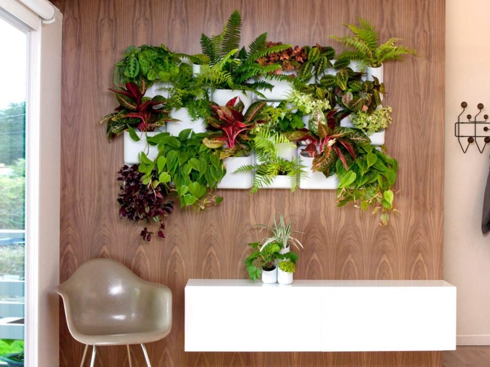 Jardim vertical em sala de estar e entrada de halls