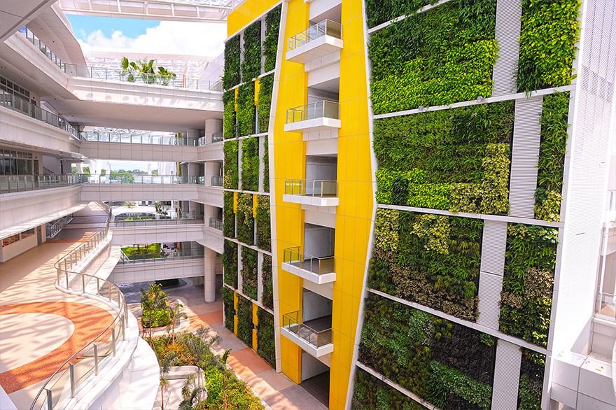 Jardim Vertical em Escolas e áreas de circulação internas