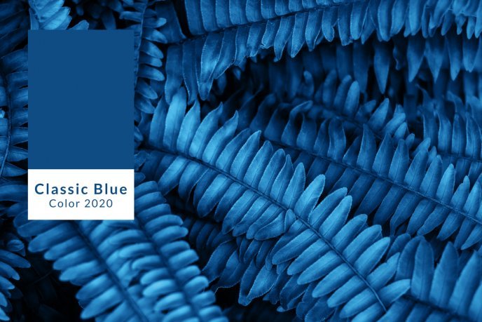 Imagem com o tom de azul Classic Blue da Pantone - Escolhida como a cor do Ano em 2020.A imagem mostra uma planta ao fundo (samambaia) com tom de azul e uma placa mostrando o tom classic blue e um texto abaixo informando.